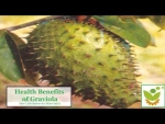 Soursop (Graviola) for Anti-Cancer: The Truth About this Amazon Rainforest Breakthrough
