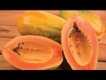 Health Benefits of Papaya - Superfoods