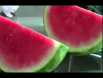 Viagra & Watermelon