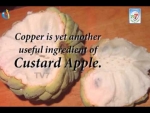 Custard apples contain anti-oxidants like Vitamin C,