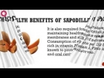 Naseberry - Health Benefits of Sapodilla