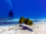 10 Best Places To Go Scuba Diving