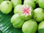 Guava Fruit - Health Benefits of