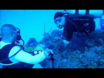 Dive Cayman Island