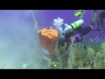 Mooring Drilling - Cayman Islands  (Dive 365 Project)