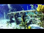 Cayman Brac diving w/ M Shank