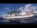 This is Cayman "Beautiful Underwater footage" w/ Noah Prymak