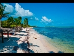 Little Cayman Island Diving Review w/ Mr. Aqualmage