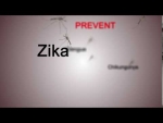 Stop the Spread of Zika PSA